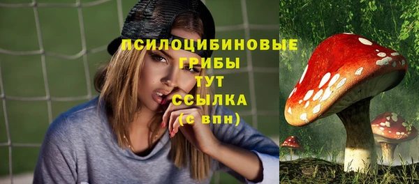 соль курить ск Богданович