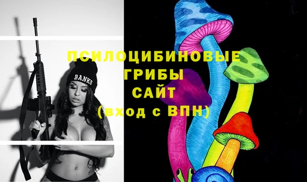 соль курить ск Богданович