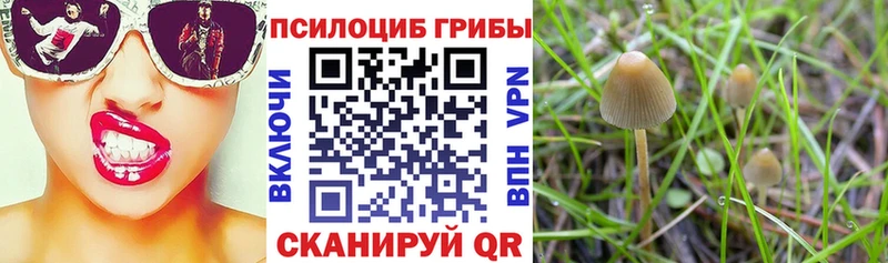 Галлюциногенные грибы мухоморы  цена наркотик  Ачхой-Мартан 