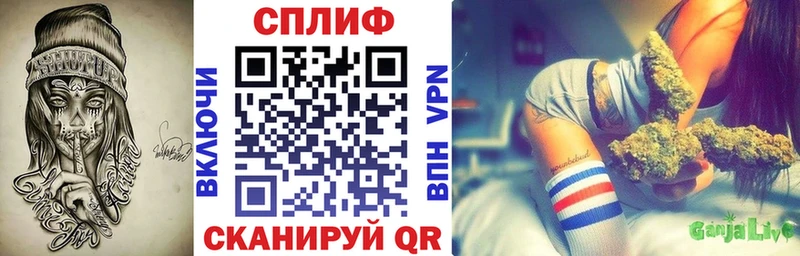 Конопля конопля Ачхой-Мартан